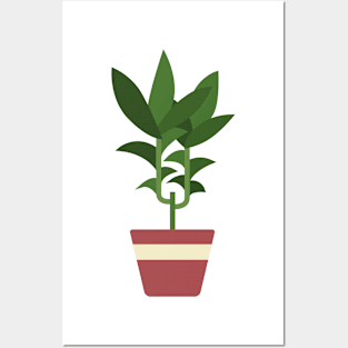 Corn Plant Posters and Art